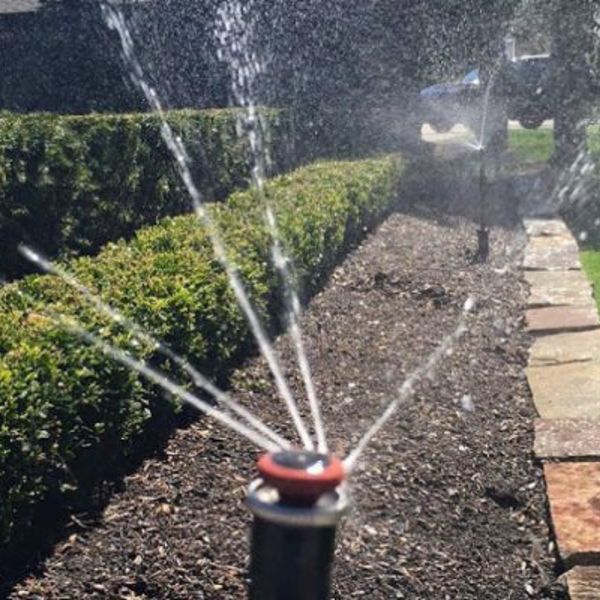 Smart Sprinklers